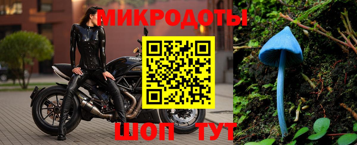 Галлюциногенные грибы Cubensis Самара